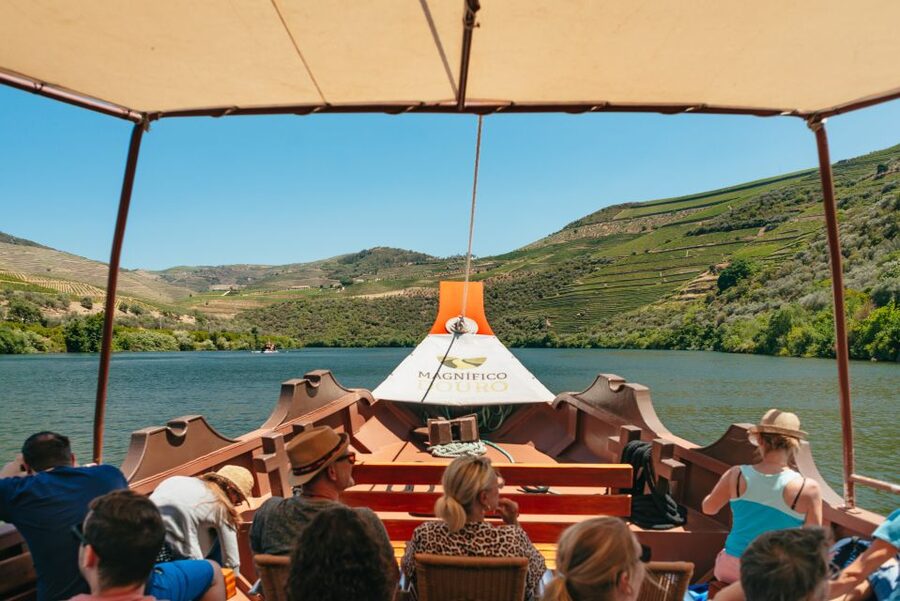 Porto: Douro Valley with Winery Lunch, Tastings & Cruise - The winery lunch pairing: what’s included and why it feels like part of the lesson