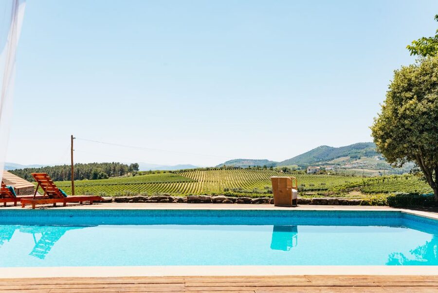 Porto: Douro Valley with Winery Lunch, Tastings & Cruise - Wine tasting for non-drinkers: you’ll still get a lot out of it