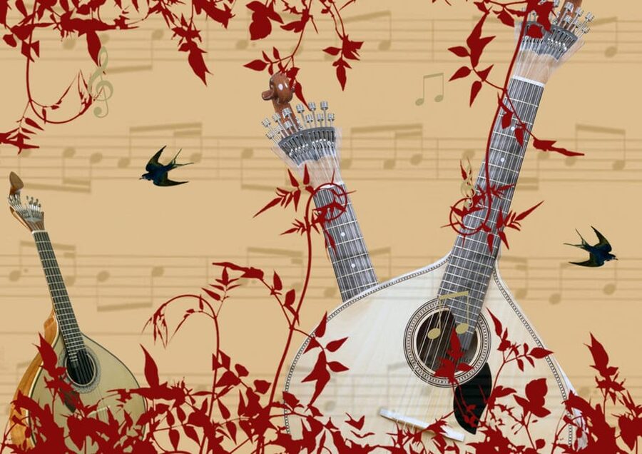 Porto: Fado Show with Dinner in a Traditional Fado House - Who should book this Porto Fado dinner show