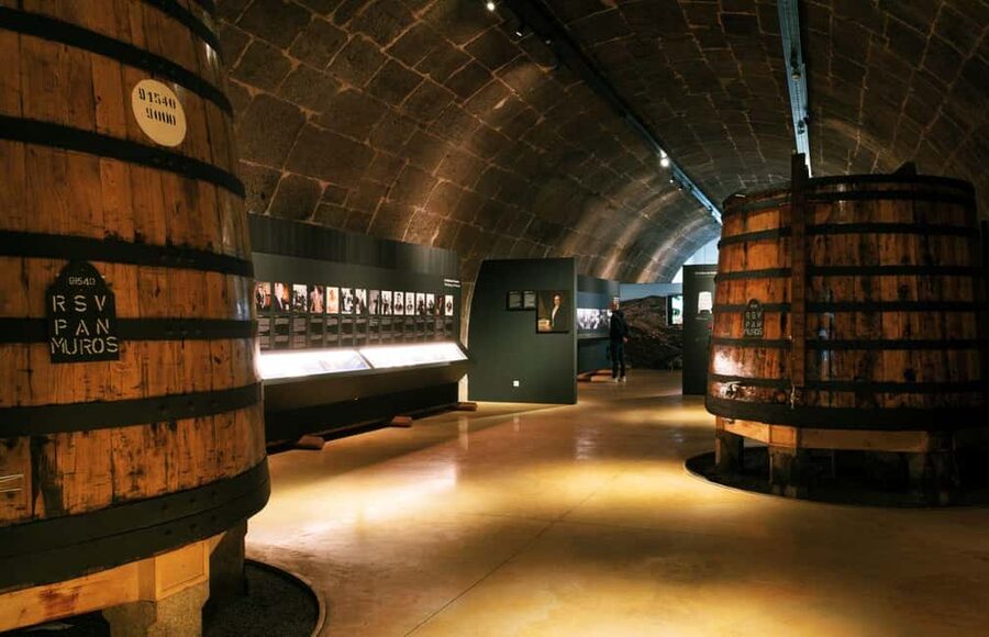 Porto: Fonseca Cellar Tour & 1 WOW Museum - Timing your one-day visit without rushing