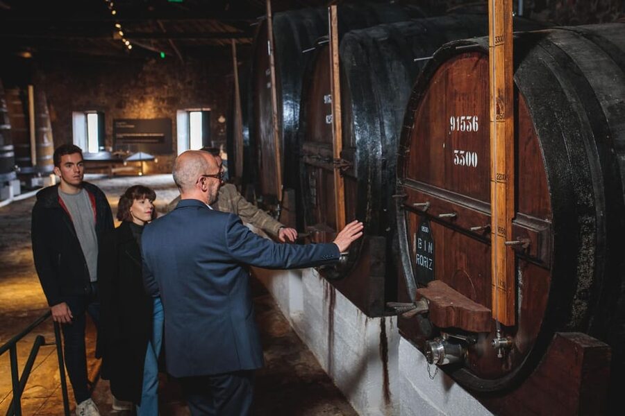 Porto: Fonseca Cellar Tour & Fado Show with Optional Dinner - Timing and pacing: fitting this into a Porto evening