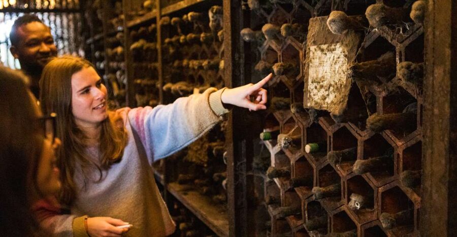 Porto: Food & Wine Tasting Walking Tour with Port Wine Cave - Key things to know before you go