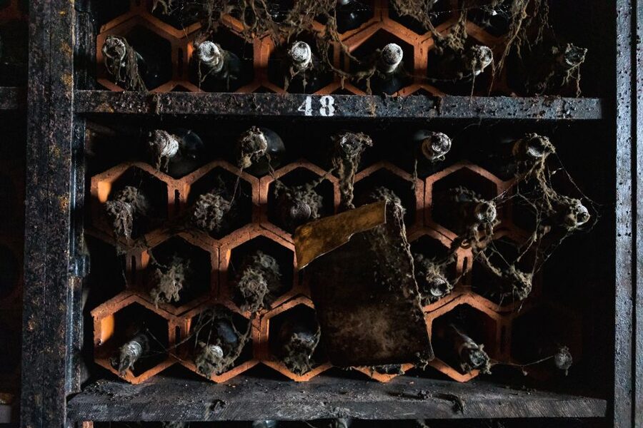Porto: Food & Wine Tasting Walking Tour with Port Wine Cave - Three Port tastings, plus the extra sips that teach your palate
