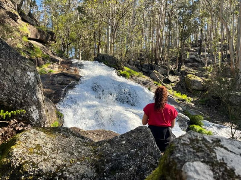 Porto: Forest Waterfalls & Roman Ruins Trail Tour - Key highlights to know before you go