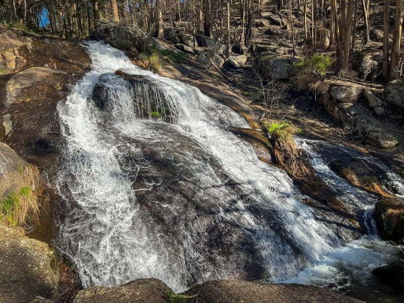 Porto: Forest Waterfalls & Roman Ruins Trail Tour - Where this walk fits in Porto: nature day, history day, and sanity day