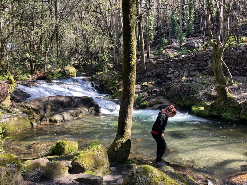 Porto: Forest Waterfalls & Roman Ruins Trail Tour - Forest trails and the Quedas da Fervença waterfalls