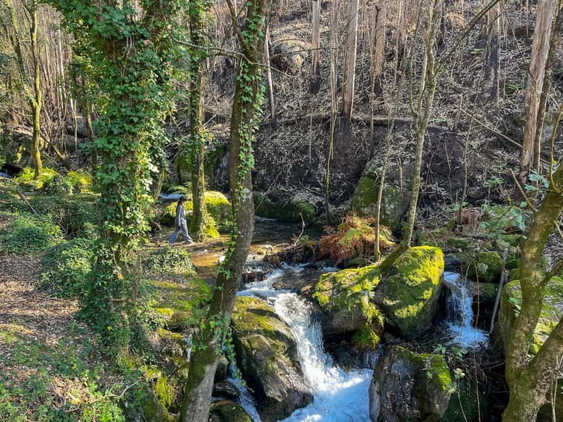 Porto: Forest Waterfalls & Roman Ruins Trail Tour - The Roman ruins at Castro Monte Padrão: history you can see and measure