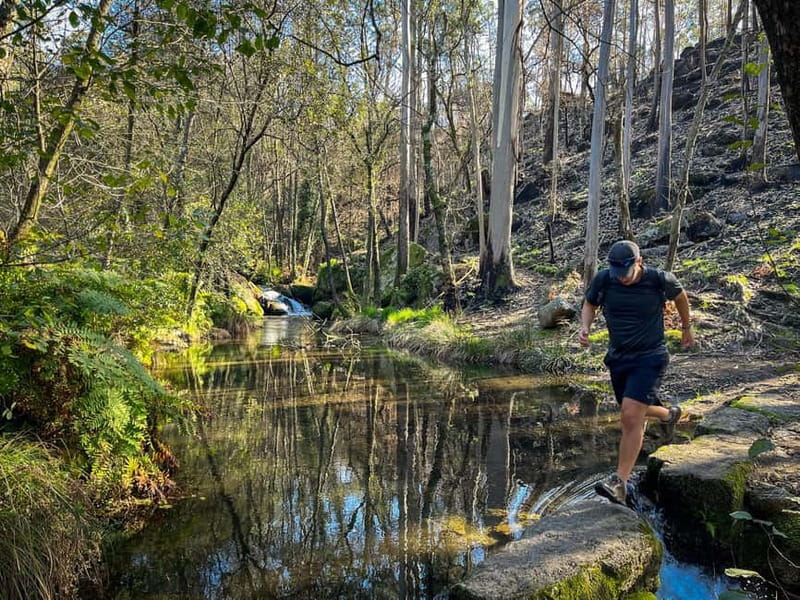 Porto: Forest Waterfalls & Roman Ruins Trail Tour - Price and value: why $76 can make sense for the right traveler
