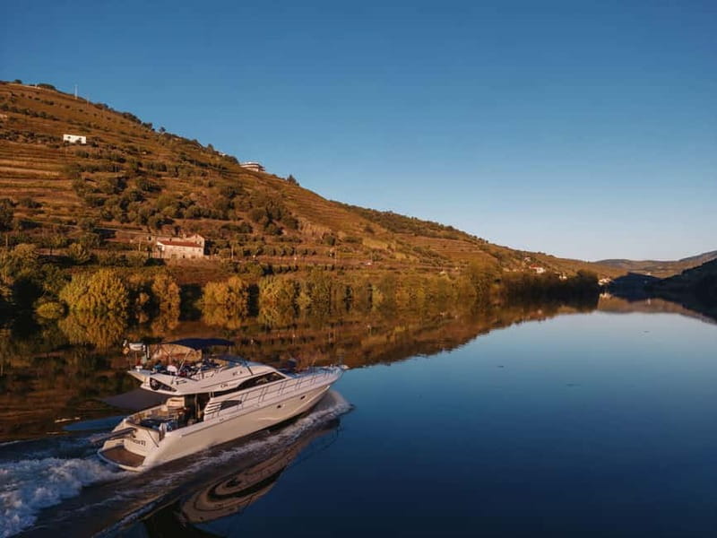 Porto: Full Day Douro River Cruise from Porto to Régua - Getting started right: Marina da Afurada and the 9 a.m. departure