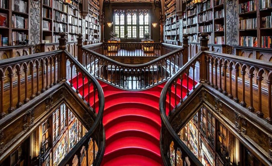 Porto: Gold Ticket Lello Bookstore + Douro River Cruise - Should you book this Lello + Douro combo?