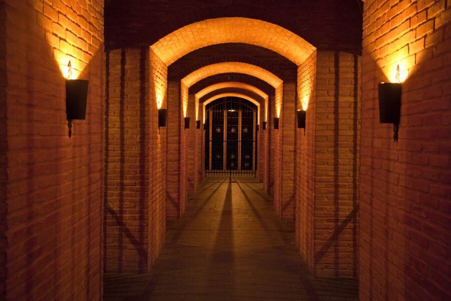 Porto: Graham's Port Lodge Tour with Premium Wine Tastings - Graham’s 1890 Lodge: a Port tour that starts with the right perspective