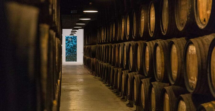 Porto: Guided Tour and Tasting of 3 Port Wines at Poças - The tasting room vibe: small-group energy, sometimes shared timing