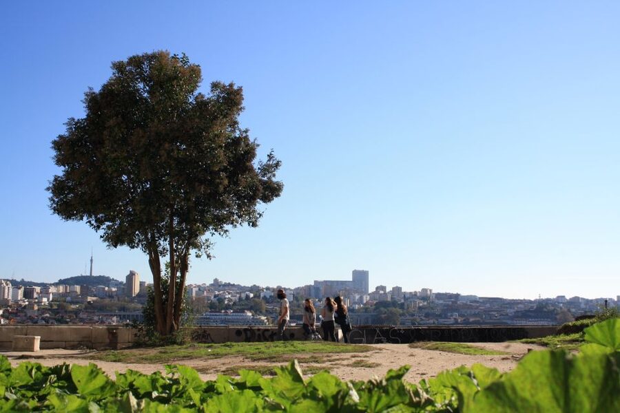 Porto: Half-Day Jewish Tour - Key things you’ll notice on the walk
