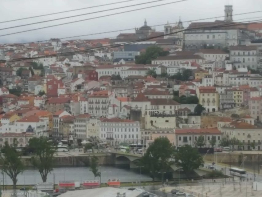 Porto: Half-Day Small Group City Tour with port wine tasting - Price and value: Why $89 works for a half-day with tasting