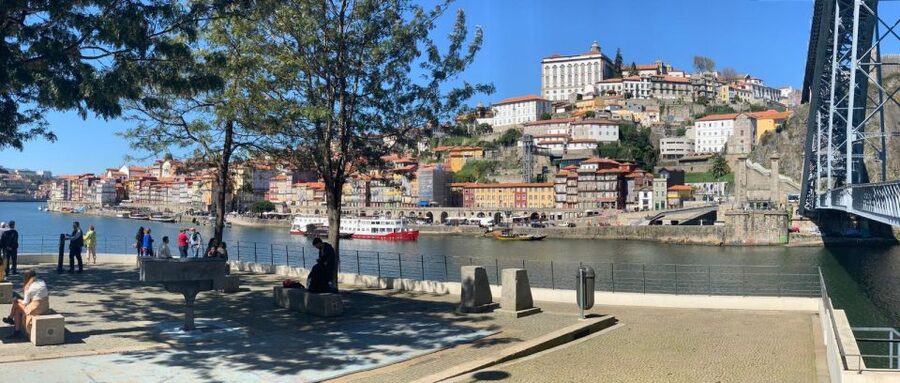 Porto: Half-Day Small Group City Tour with port wine tasting - Livraria Lello and Café Majestic: Photo time where it counts