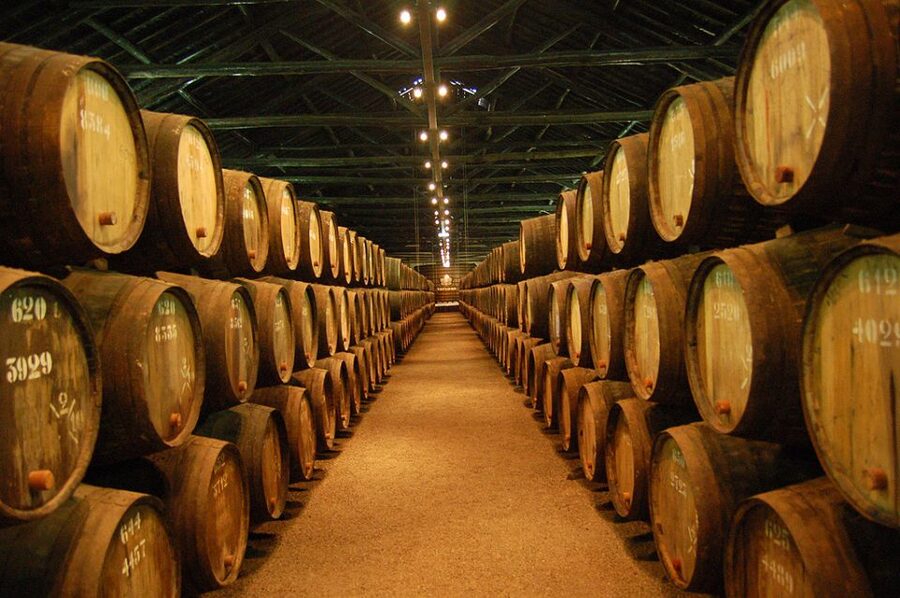 Porto: Half-Day Small Group City Tour with port wine tasting - Ribeira district and city tips: The route that helps you explore after