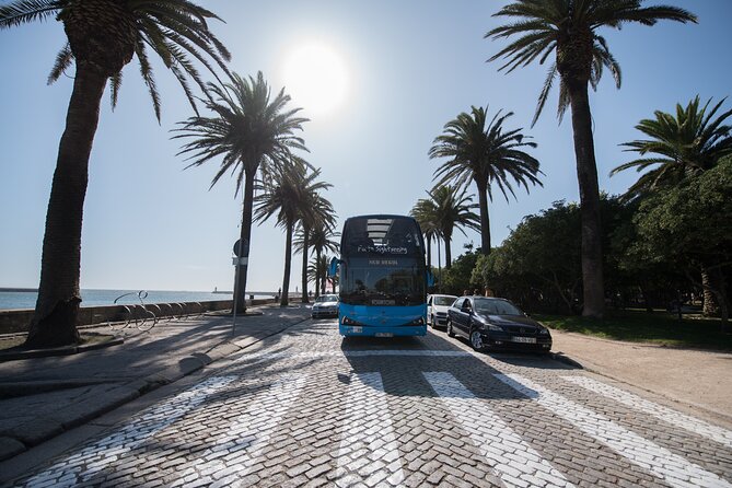 Porto Hop On Hop Off Bus Tour with Wine tasting & Night tour - Rua do Ouro, Massarelos Tram Museum, and the Cultural-Conference Stretch