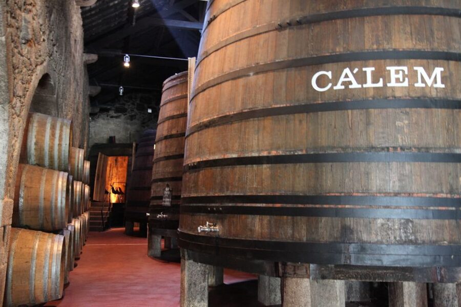 Porto: Hop-on Hop-off Bus with Optional Cruise & Wine Cellar - Night Bus Atmosphere: The Panoramic Ride You Get With 48 Hours