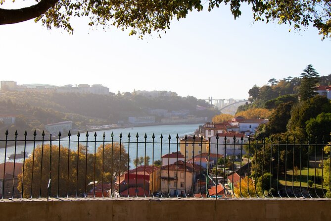Porto Jewish Heritage Walking Tour Small group - Why Small-Group Touring Helps You Actually Learn the City
