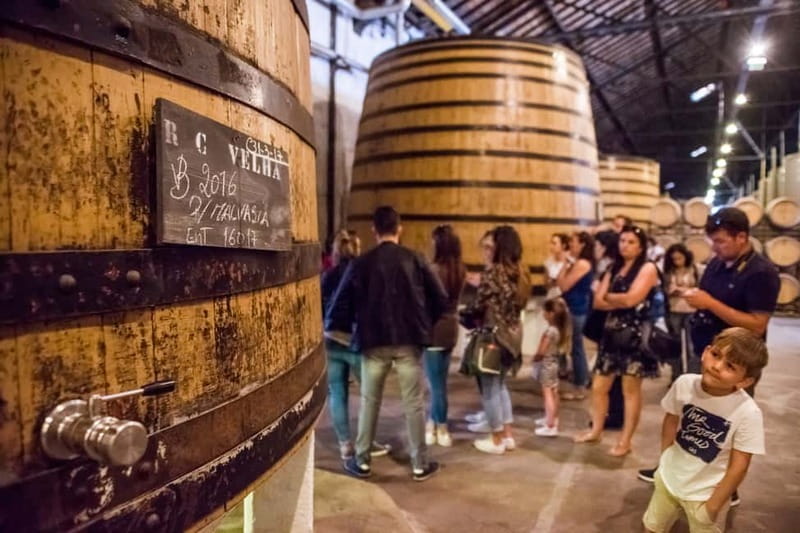 Porto: Magic Train Tour and Port Wine Cellar with Tastings - A Magic Train loop that helps you read Porto quickly