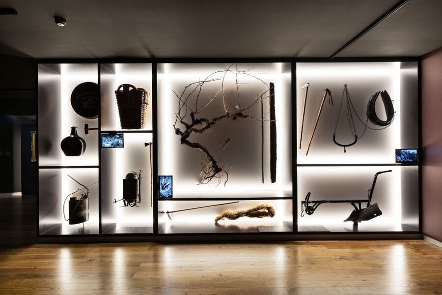 Porto: Museum of the Oldest Appellation in the World Ticket - Should you book the Museum of the Oldest Appellation in the World?