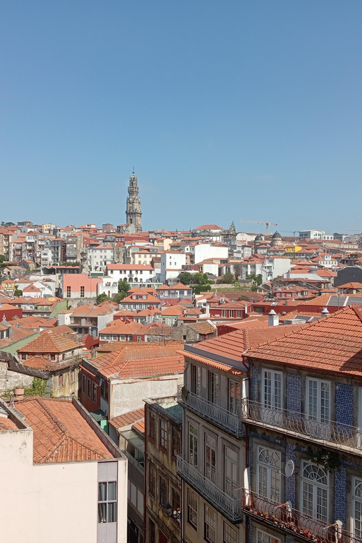 Porto - Old Town Tour with an official guide - Price and value: what you’re paying for at $29