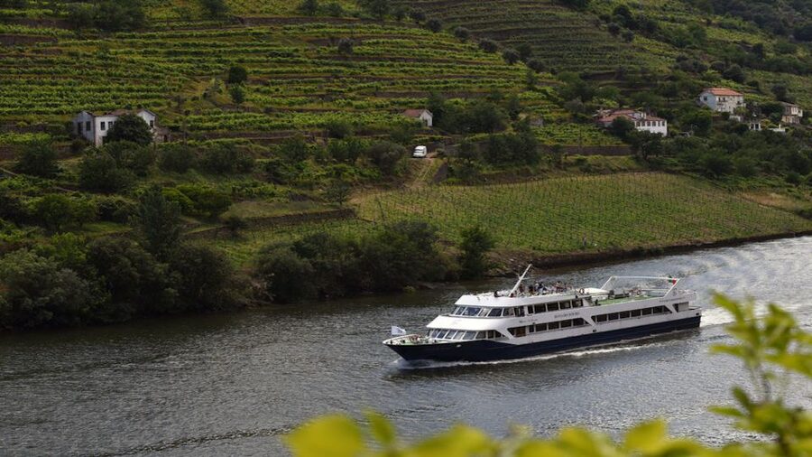 Porto/Pinhão/Porto - Timing and the return to Porto: a late finish you should plan for