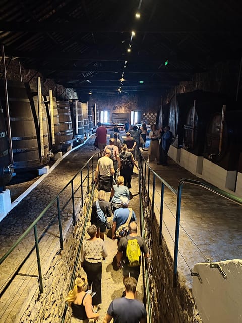 Porto: Port and Douro Wine Walking Tour with 9 Tastings - Why Vila Nova de Gaia Makes a Port Tour Easy