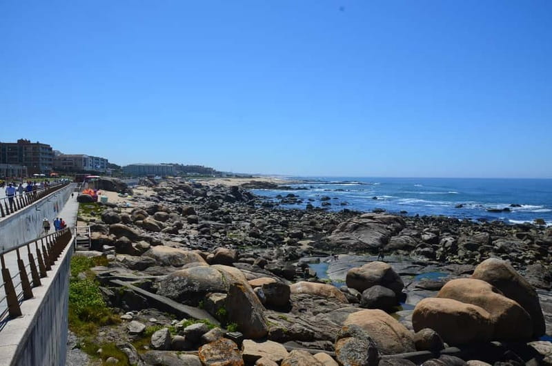 Porto: Porto Bike or E-Bike Atlantic Route - Safety, timing, and what to bring so the day feels easy