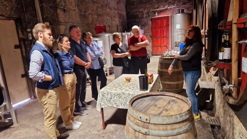 Porto: Premium Douro Valley Small-Group Tour, Cruise & Lunch - Key Highlights You’ll Actually Feel During This Day