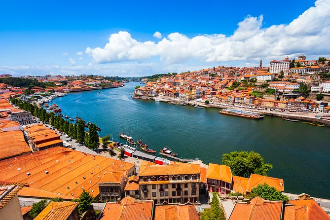 Porto Private 2-Hour Custom Sightseeing Experience - A fast, private Porto overview from Aliados to Ribeira