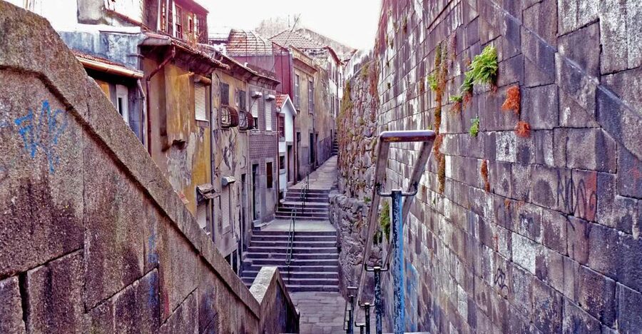 Porto: Private Bike Tour with a Local Guide - Quick hits on the Porto City Park–to-the-sea route