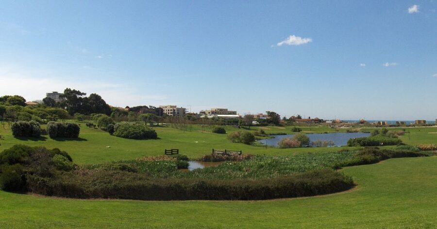 Porto: Private Bike Tour with a Local Guide - Calem gardens, birdwatching areas, and the quieter side of the estuary