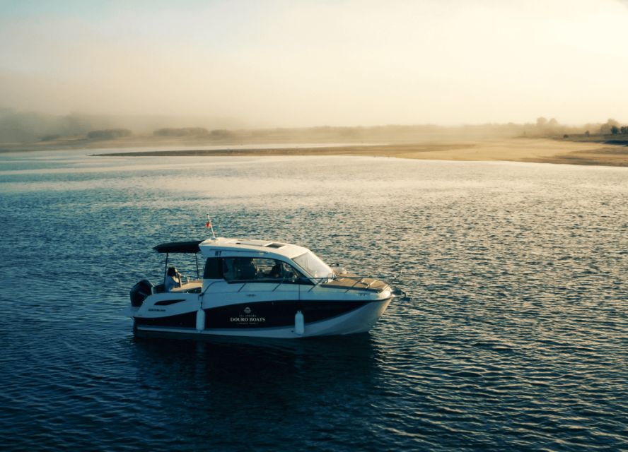 Porto: Private Boat Tour in Douro River - What the Crew Actually Does: Stories, Pace, and Comfort