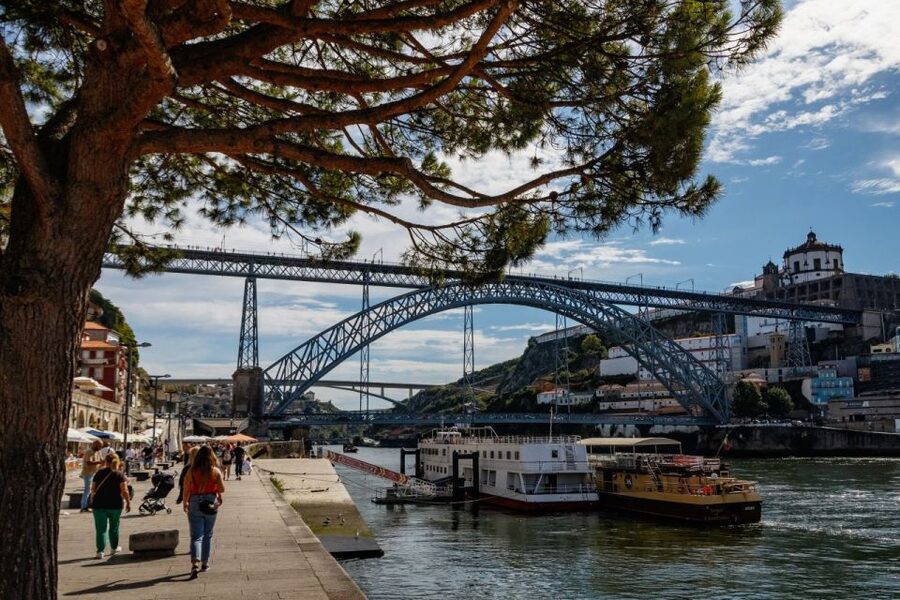 Porto: Private Custom Tour with a Local– Icons & Hidden Gems - Walking logistics: pickup, transport options, and comfort