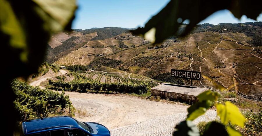Porto: Private Douro Valley 4x4 Tour with Lunch - Vineyard trails and viewpoints: photo time with context