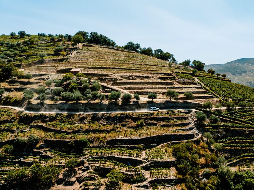 Porto: Private Douro Valley 4x4 Tour with Lunch - Getting the timing right in a 7-hour day