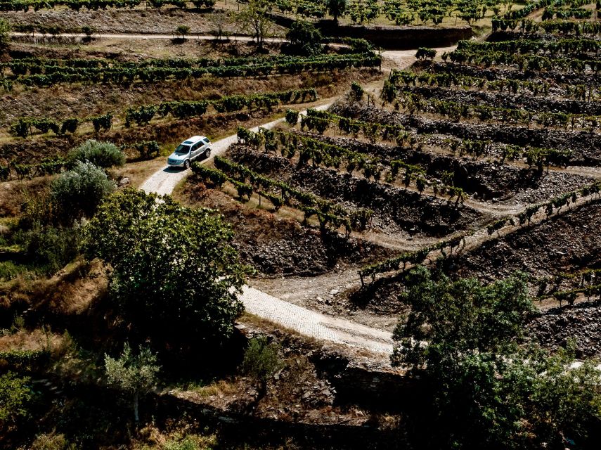 Porto: Private Douro Valley 4x4 Tour with Lunch - Should you book this Douro private tour?