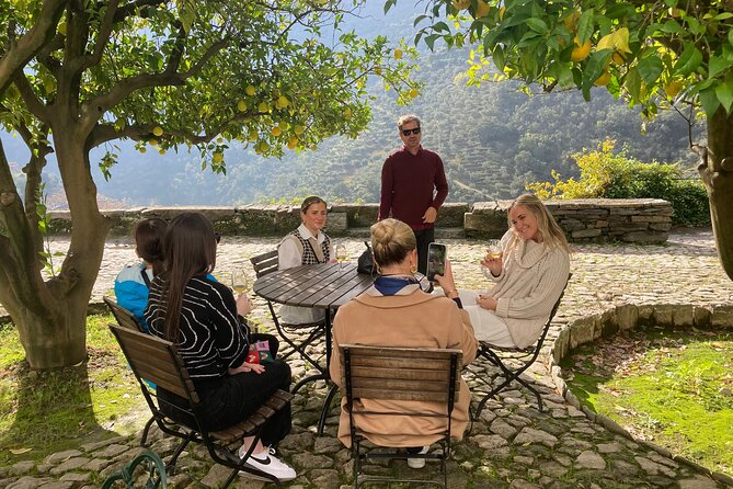 Porto: Private Douro Valley All Inclusive: Tastings, Lunch & Boat - Sabrosa country-house lunch: the meal is doing real work here
