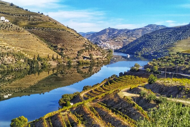 Porto: Private Douro Valley All Inclusive: Tastings, Lunch & Boat - Price and value: what $300.40 includes in real life