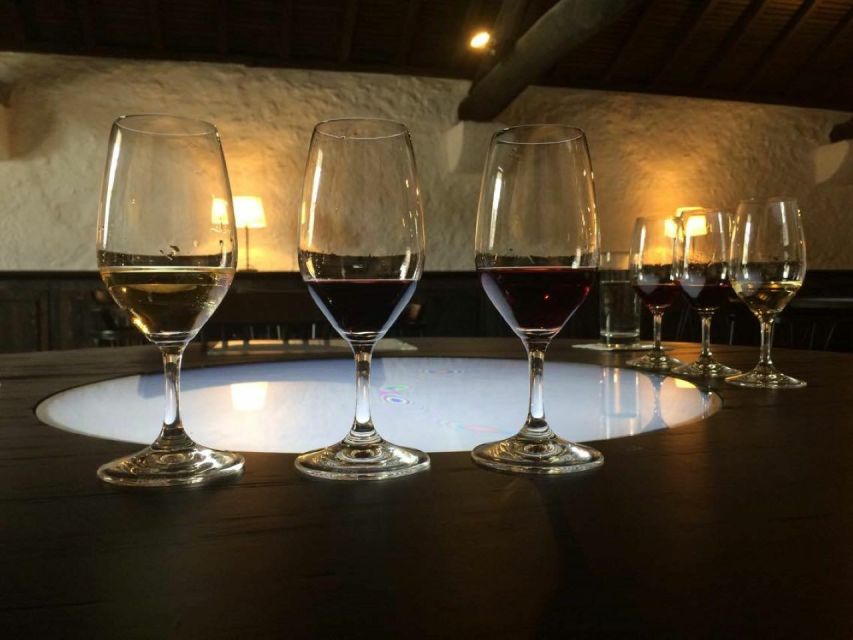 Porto: Private Guided Wine-Tasting Tour - Porto Cathedral to Hidden Streets: Why This Tour Feels Different