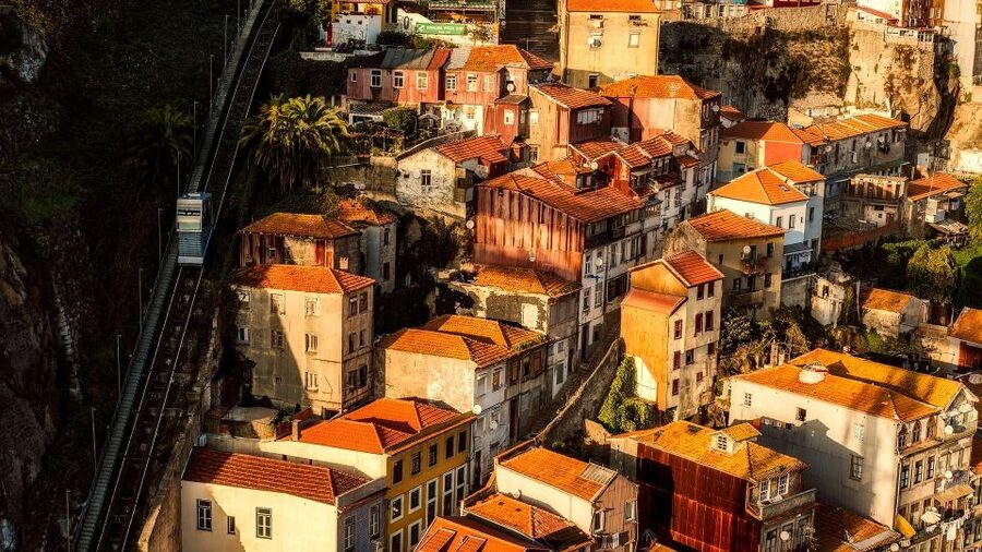 Porto Private Half Day Walking Tour: Cruise & Wine Tasting - Getting Started at the Lions Fountain (And Staying Sane on Time)