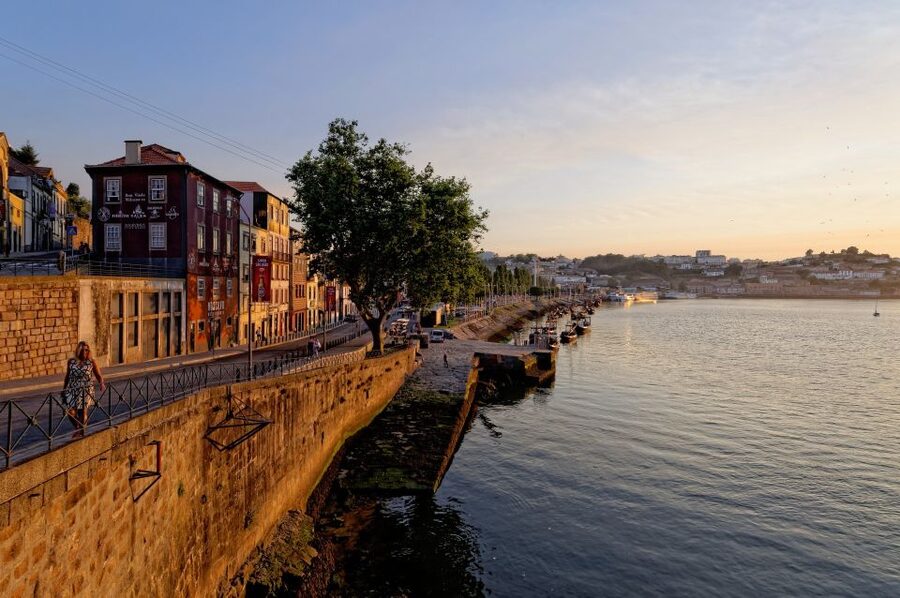 Porto Private Half Day Walking Tour: Cruise & Wine Tasting - Vila Nova de Gaia Wine Cellar: Port Wine Tasting with Context