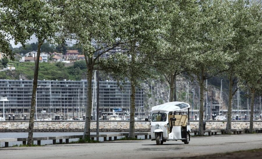 Porto: Private Sightseeing Tour by Electric Tuk Tuk - Palácio de Cristal Gardens: a calm break with river views