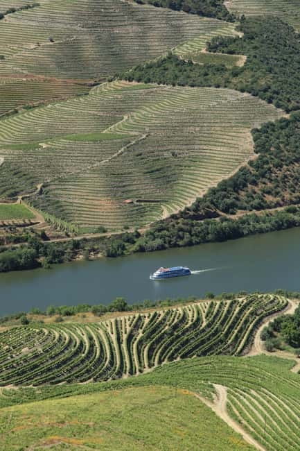 Porto/Regua/Porto (and reverse): Douro River Cruise + Lunch - Comfort and group vibes: small can be great, seating can be plain