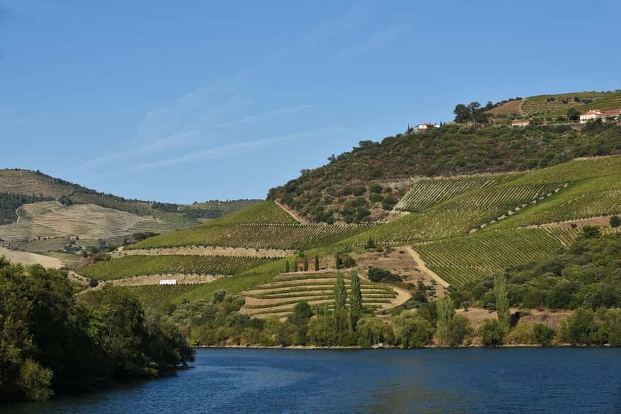 Porto/Régua/Porto - Downstream - The Coach Ride to Régua: 2 Hours of Views (and a Little Heat Risk)