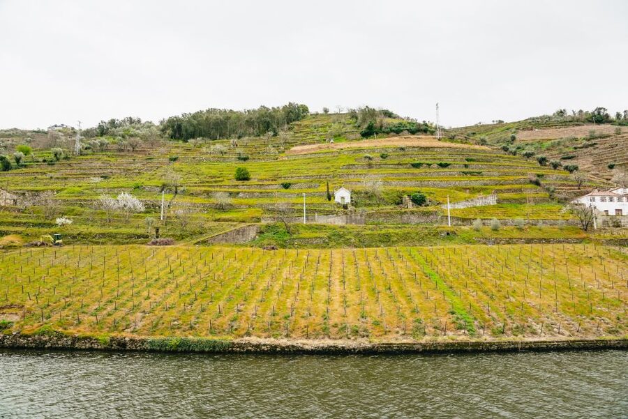Porto - Régua - Porto Upstream Douro Cruise & Tour - Who This Tour Fits Best (And Who Should Consider Another Option)