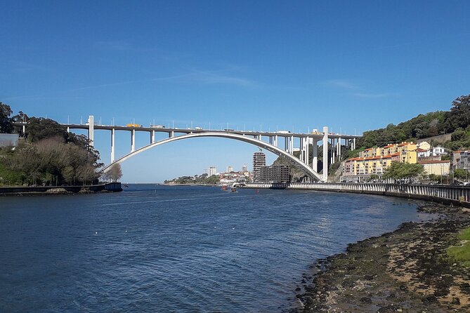 Porto Riverbank E-Bike Tour - Atlantic Coast, Gardens - Jardim do Calém and Jardim do Passeio Alegre: gardens with context