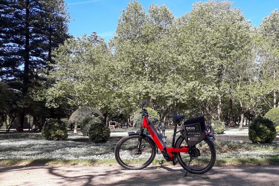 Porto Riverbank Tour on an e-bike: Atlantic Coast, Gardens - Pace, group size, and the role of the guide