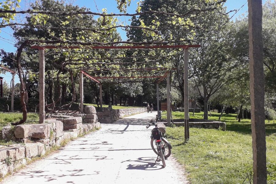 Porto Riverbank Tour on an e-bike: Atlantic Coast, Gardens - Parque da Cidade do Porto and Pasteleira Park: where the ride slows down on purpose